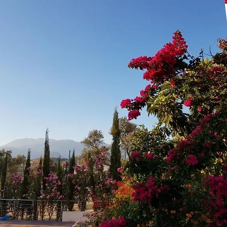 Holiday home Guranya 1